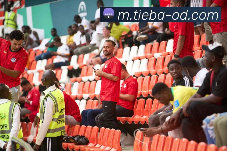 OD体育服务体系